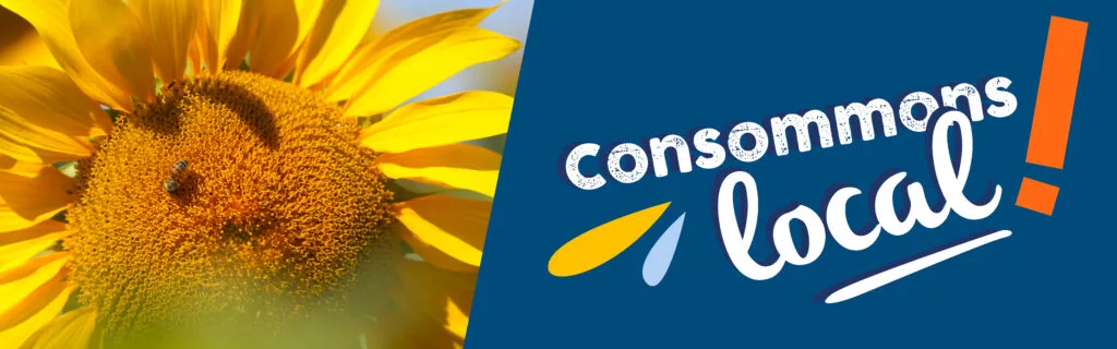 Photo d'un tournesol sur lequel butine une abeille. A droite de la photo, on peut lire, sur un fond bleu, "Consommons local !", "Communauté de communes Touraine Vallée de l'Indre" ainsi que l'adresse du site internet dédié "consommonsloca-tvi.fr".