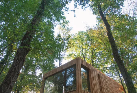 Cabane dans les arbres - Loire Valley Lodges © Lodges Loire Valley - ADT37