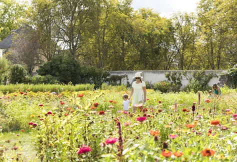Les jardins du domaine de Candé à Monts © Stevens Fremont