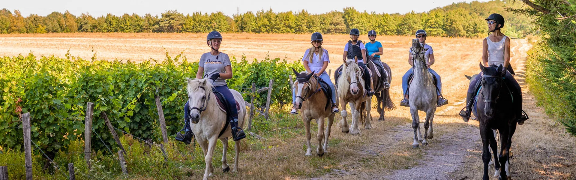 Bandeau randonnées equestres jean-christophe-coutand