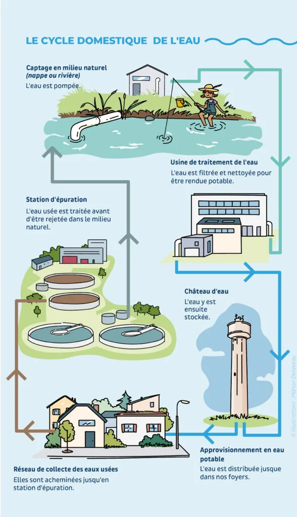 Schéma du petit cycle de l'eau