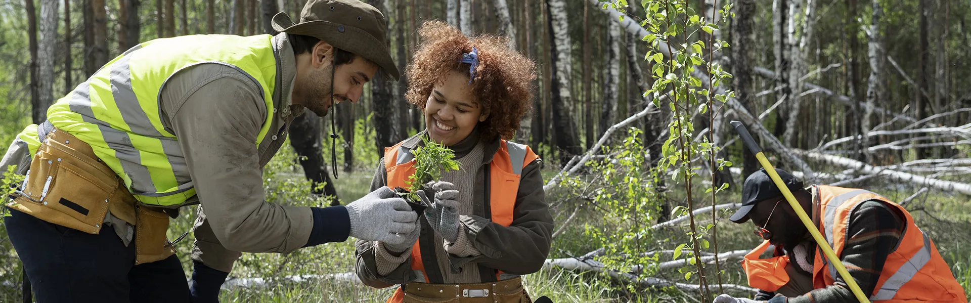 3 personnes plantent des arbres au abords d'une forêt © freepik.com
