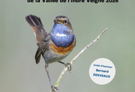 festival de la photographie de la Vall&eacute;e de l&rsquo;Indre Veign&eacute; 2026