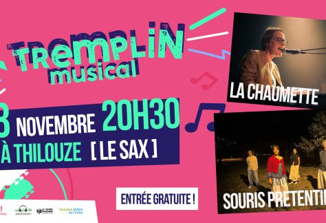 Soir&eacute;e tremplin musical 2026 du 13 novembre