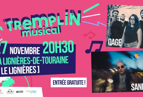 Soir&eacute;e du 27 novembre Tremplin Musical