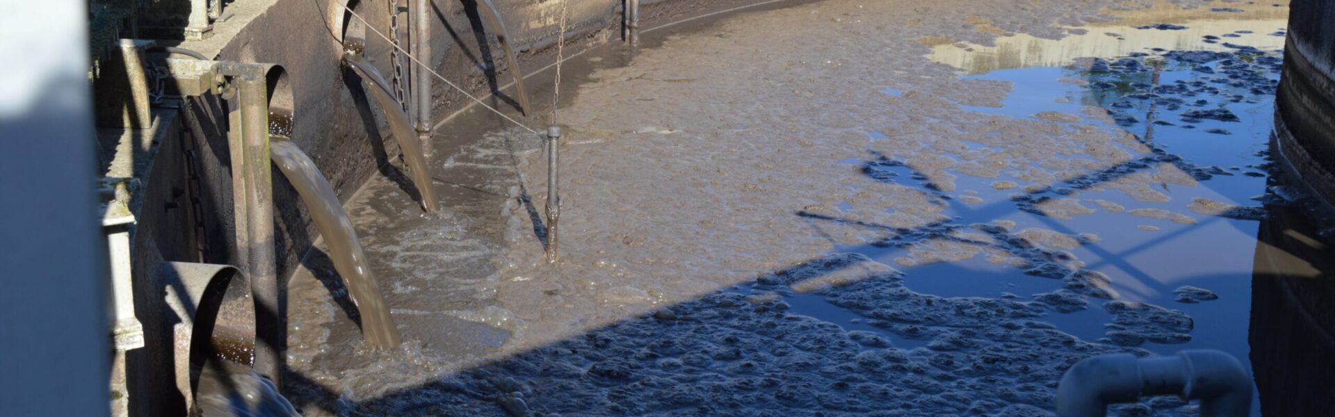 5 PISCINE A BACTÉRIES