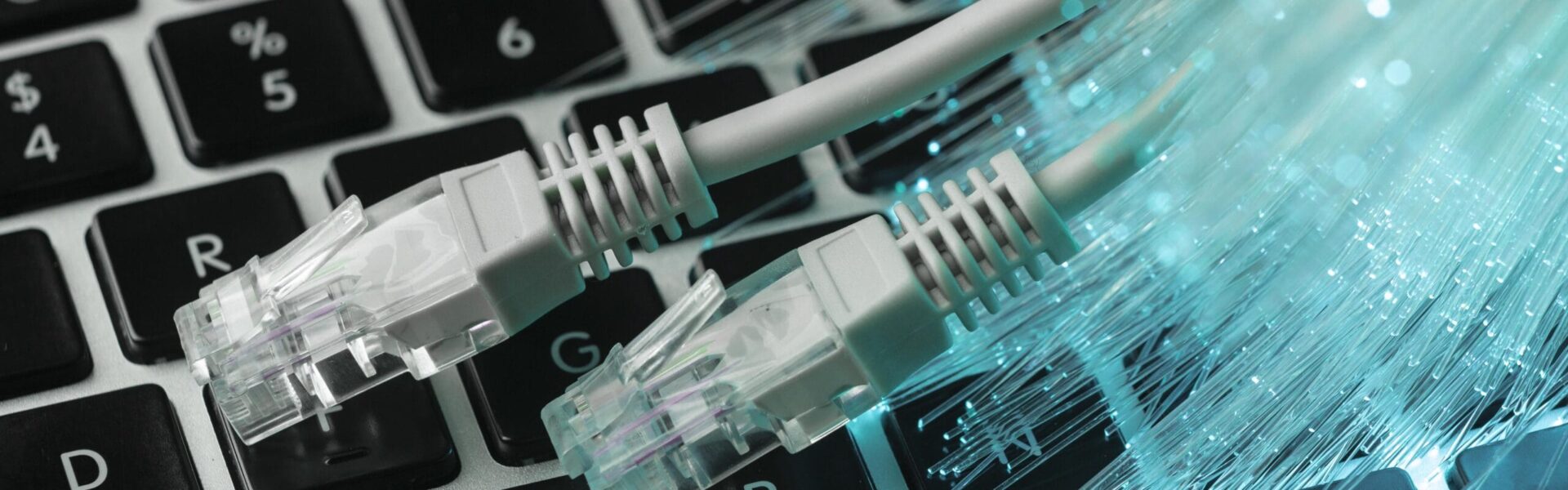 fibre-optique-bleue-cables-ethernet-ordinateur-portable